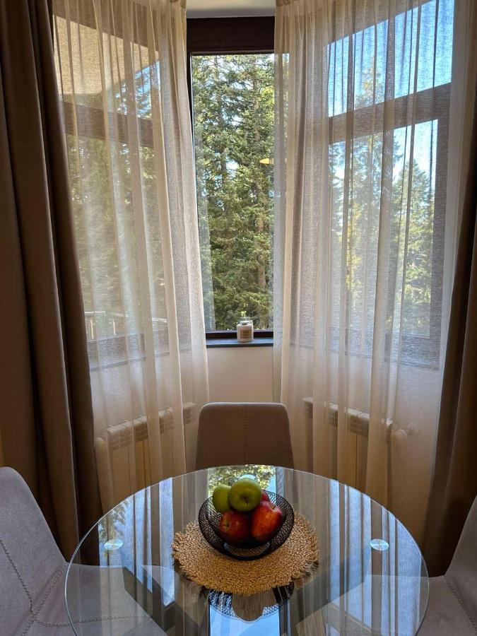 Sana Ski Apartment 313A In Flora, בורובץ מראה חיצוני תמונה